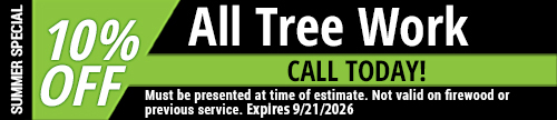 Banner for a fall special offering 10% off all tree work by a leading tree service contractor in Clifton, NJ. Call today! Terms: must be presented at time of estimate, not valid on firewood or previous service. Expires 12/31/2024.
