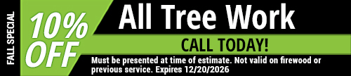 Banner for a fall special offering 10% off all tree work by a leading tree service contractor in Clifton, NJ. Call today! Terms: must be presented at time of estimate, not valid on firewood or previous service. Expires 12/20/2026.